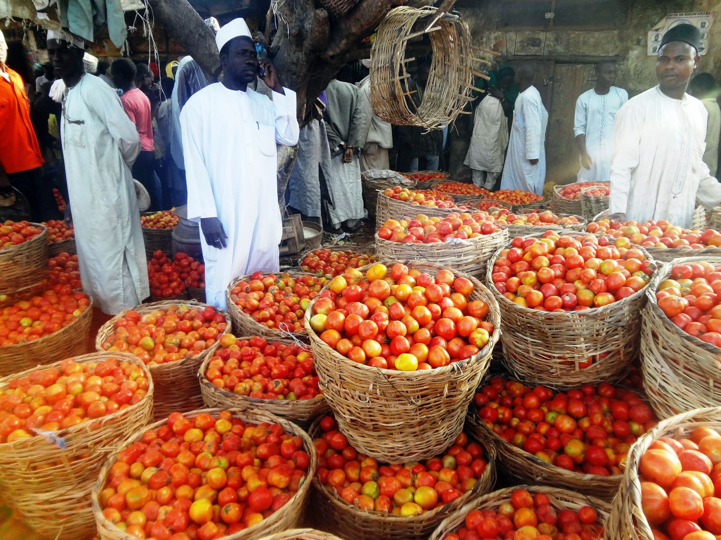 kano-nigeria-s-oldest-city-outlook